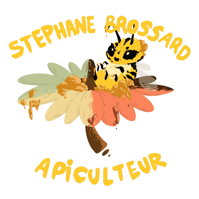 Recherche Logo Stephane Brossard